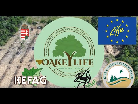 Oakeylife projekt a Peszéri-erdőben