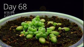 video5107210083427681337