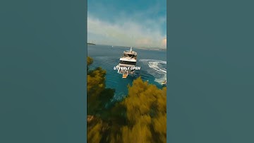 Andrew Tate - Escape the Matrix #topg #matrix #andrewtate #shorts