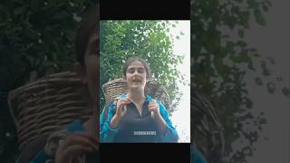 #trending#shorts#reels#YouTube short#Viral#Suman Bag75￼