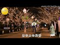 あの人の足音・シニア徒然チャンネル