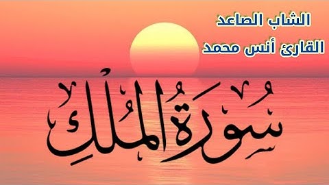 القارىء الصاعد أنس محمد 🌿 سورة  الملك ❤️ تلاوة رائـــعة Amazing Reaction 🌹 Surah Al Mulk