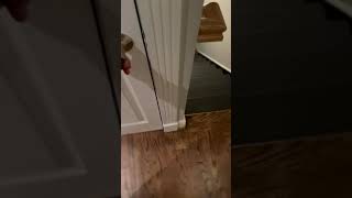 45 East 1st Street Apt# 1F