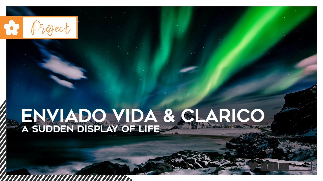 Enviado Vida & Clarico - A Sudden Display Of Life | 