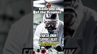 Subhanallah , Pembuktian Hadits Rasulullah mengenai Sayap Lalat