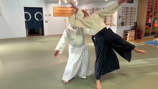 Aikido: NEVER stop Uke's Line of Gravity from Traversing the Mat
