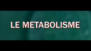 présentation du métabolisme