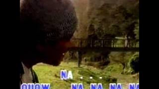 Andre Hehanusa - Karena Ku Tahu Engkau Begitu.mpg