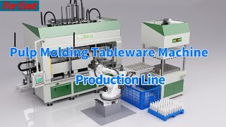 FarEast & GeoTegrity SD-P09 Fully Auto Pulp Molding Fiber Tableware Making Machine Production Line.