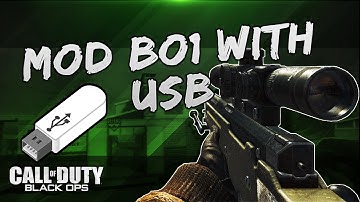 How To Mod Bo1 Multiplayer USB No Jailbreak (Color Classes, Promod, XP and More!)