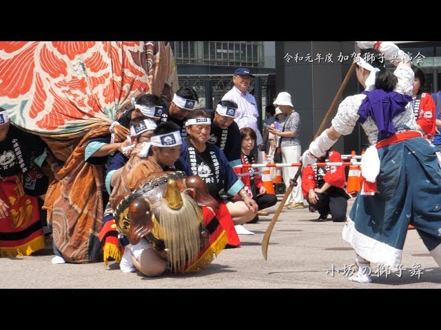 Kosaka Lion Dance and Kaga Lion Performance, 2019, 4K/60fps - YouTube