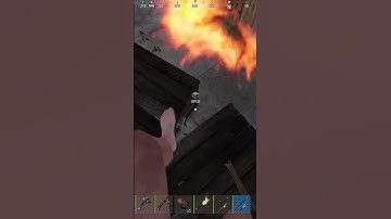 W seal  #rust #rustclips #youtube