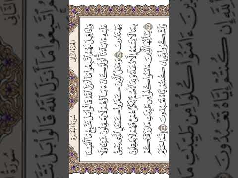 واذا قيل لهم اتبعوا ما أنزل الله قالوا بل نتبع الشيخ ياسر الدوسري