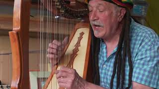 Canon in D (Pachelbel's Canon) - String harp
