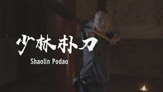 Shaolin Podao | 少林朴刀：手握长柄，心定乾坤 screenshot 3
