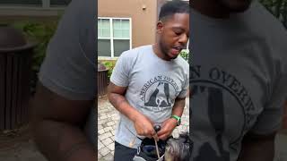 Great Exercise To Build Mind-Body Connection And Engagement With Your Pup