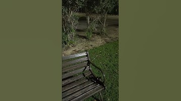 سورة الأحزاب الآيات 41_43 | يا أيها الذين آمنوا اذكروا الله ذكرا كثيرا | القارئ ياسر الدوسري