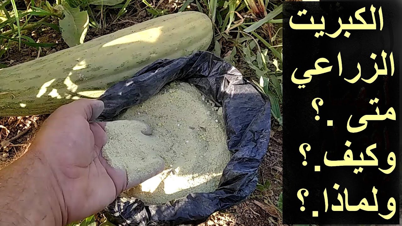 الكبريت الزراعي . سماد لكل الاسمدة