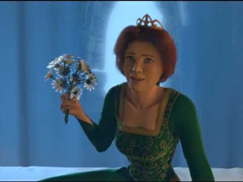 Shrek's Story (2001)