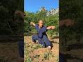 SHAOLIN KUNGFU FIST || KICKBOXING MARTIAL ARTS #shaolin #kungfu #martialarts