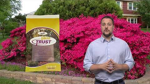 Plant Trust - The Best Fertilizer For Your Trees & Shrubs