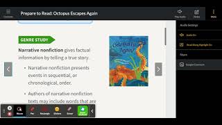Octopus Escapes