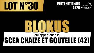 30. BLOKUS - SCEA CHAIZE ET GOUTELLE (42)