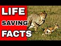 Life saving factspart1fact2fact shorts