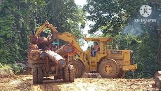 #truck CAT 966F loading kayu,driver skill tingkat dewa