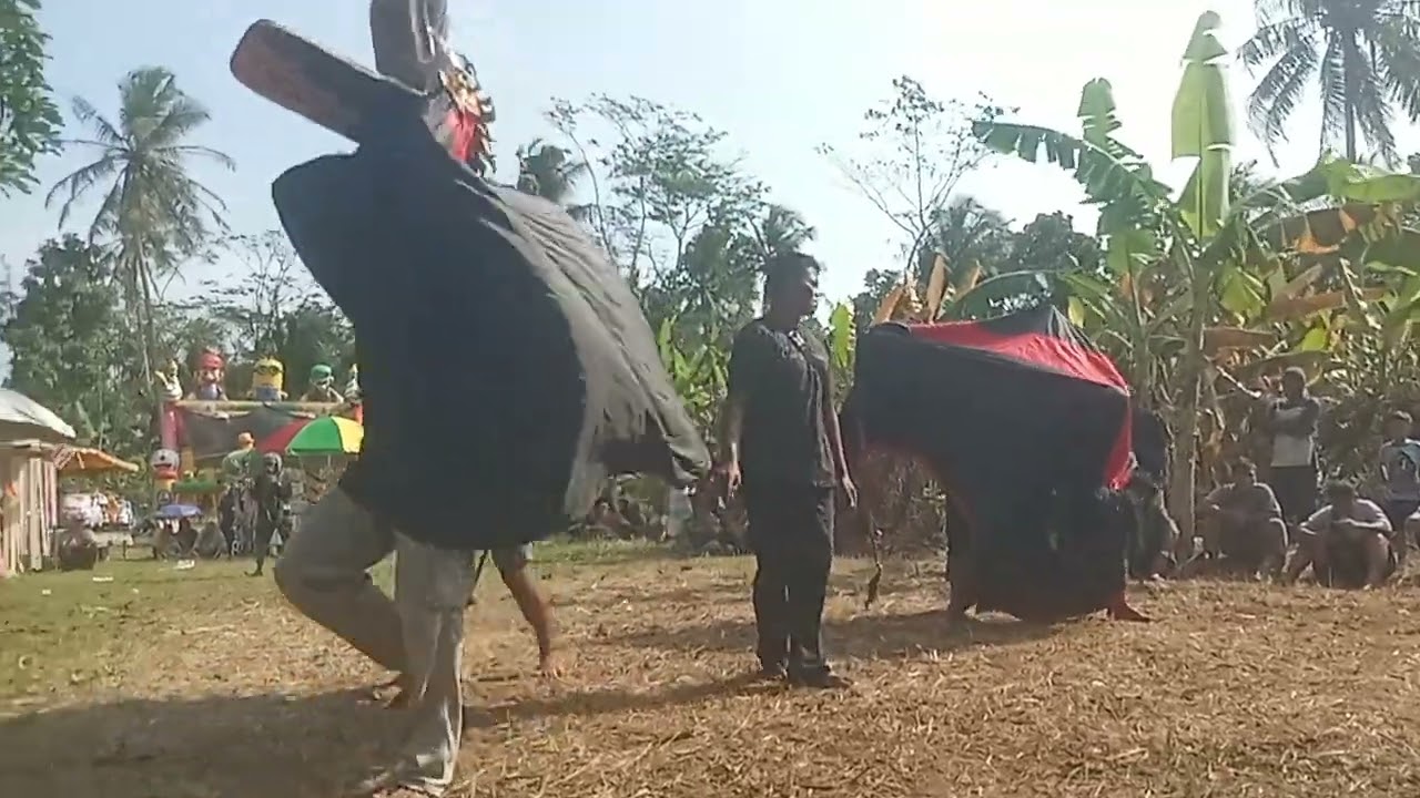 Tarian barongan Ebeg manggolo budaya... Di desa kemantren Bumiagung rowokele.. 
