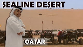 سيلين قطر   Qatar 2022