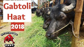 Gabtoli Gorur Haat 2018 - Full Haat Video