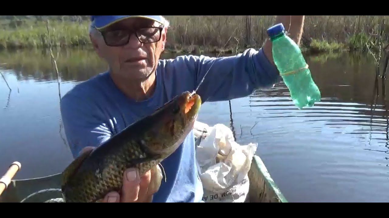 Aprenda a pescar traíra com o sistema e isca mais produtivo, Pescaria