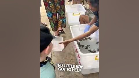 Deze jongen redde een leger schildpadden 😱