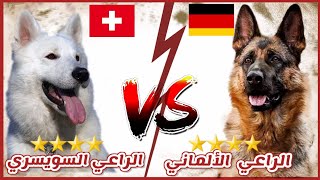 مقارنة شاملة بين الراعي الألماني Vs  الراعي السويسري || German Shepherd VS Swiss white Shepherd