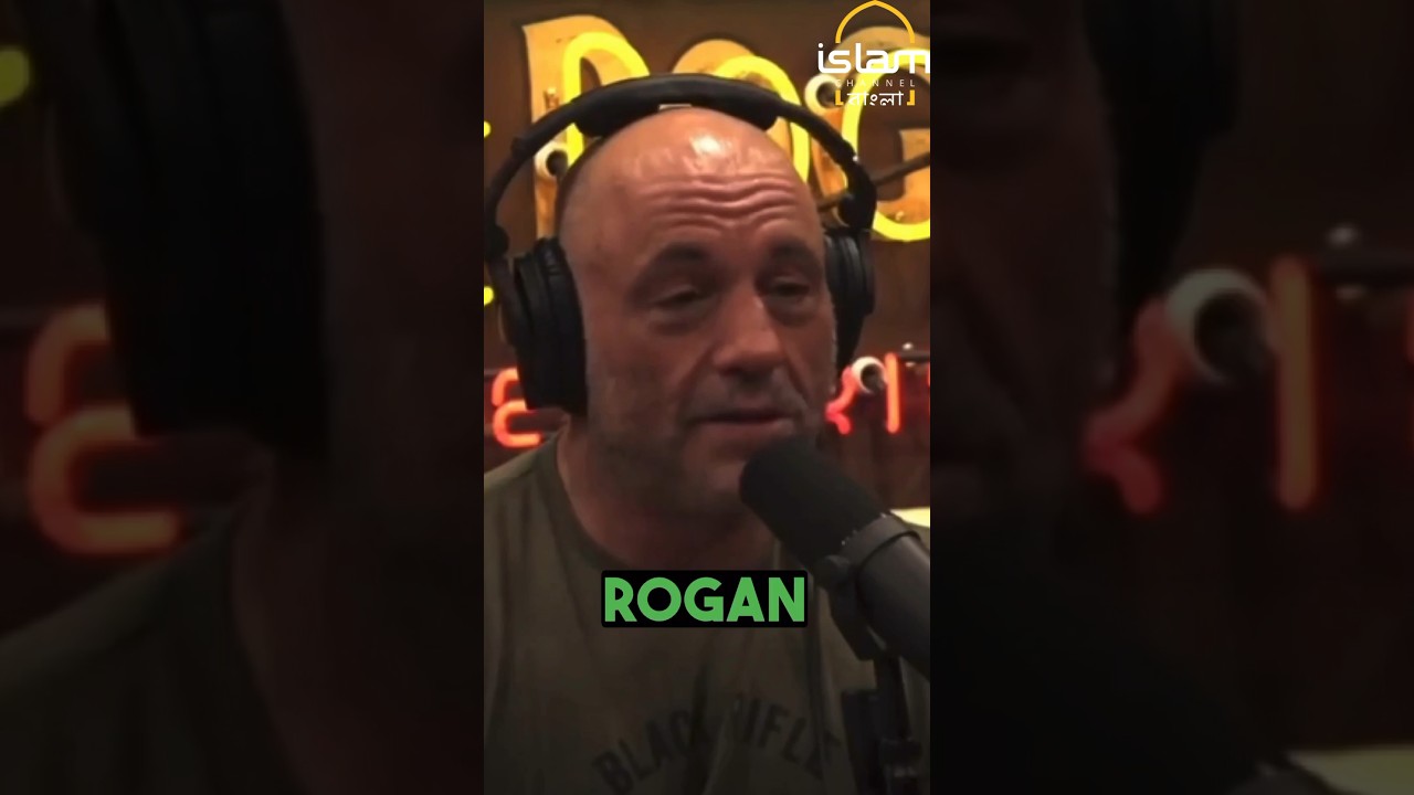Joe Rogan on education