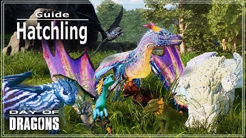 Day of Dragons, Hatchling and new player