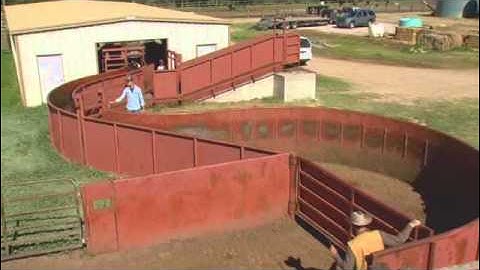 Cattle Handling - Facilities