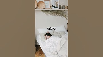 The Truth Behind Waterbeds🛌💦