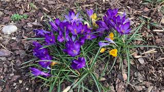 Mcurios - 100 Bars Prod. By Mcurios