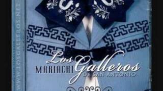 Video thumbnail of "Mariachi Los Galleros de San Antonio"