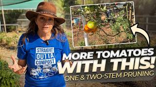 More Tomatoes & Less Time Trellising!