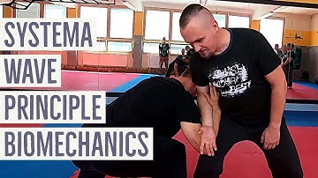 Systema wave principle biomechanics