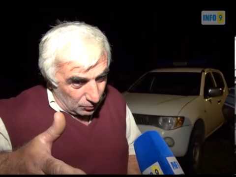 ხეების გაჩეხვა