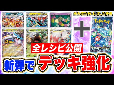 ステラミラクル環境　ドラパルトex 13勝2敗　最強スタート ドラパルトex｜シティリーグ優勝｜ステラミラクル環境｜2024年09