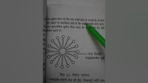 Micelle formation Hindi medium