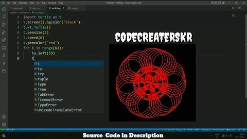 Cool Python Turtle Graphics in Python|🐢|#codecreaterskr #video #viralvideo