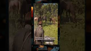 ИГРОФАКТЫ #8 - БОРОДАТЫЙ КОВБОЙ #игры #games #пасхалки #rdr2 #rdr #reddeadredemption2 #rockstargames