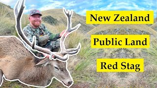 New Zealand Public Land Red Stag Hunt by SCliving Outdoors 2,615 views 11 months ago 10 minutes, 20 seconds