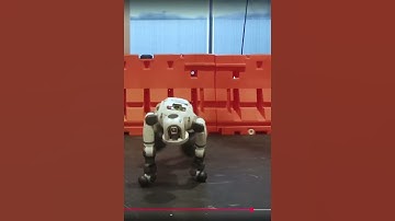 The Robots Will Win 🤖🤦‍♂️ #twitch  #clips #viralvideo #fyp #technology  #ai #omg #streamer #tiktok